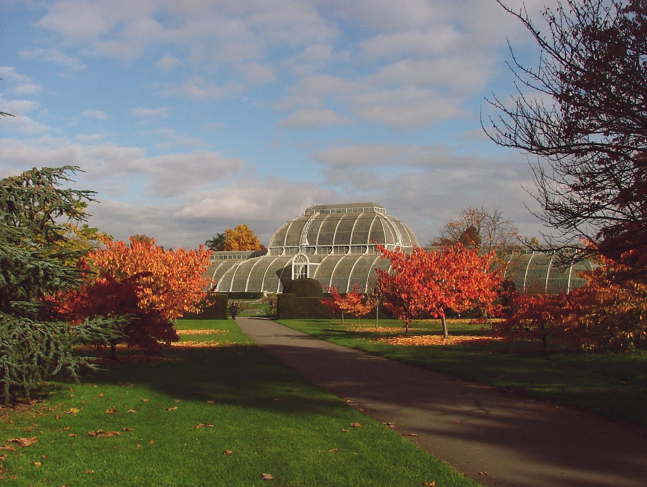 image otoño Londres a view of the palm house in kew gardens 2007 by aegiandyad d4q3u6l
