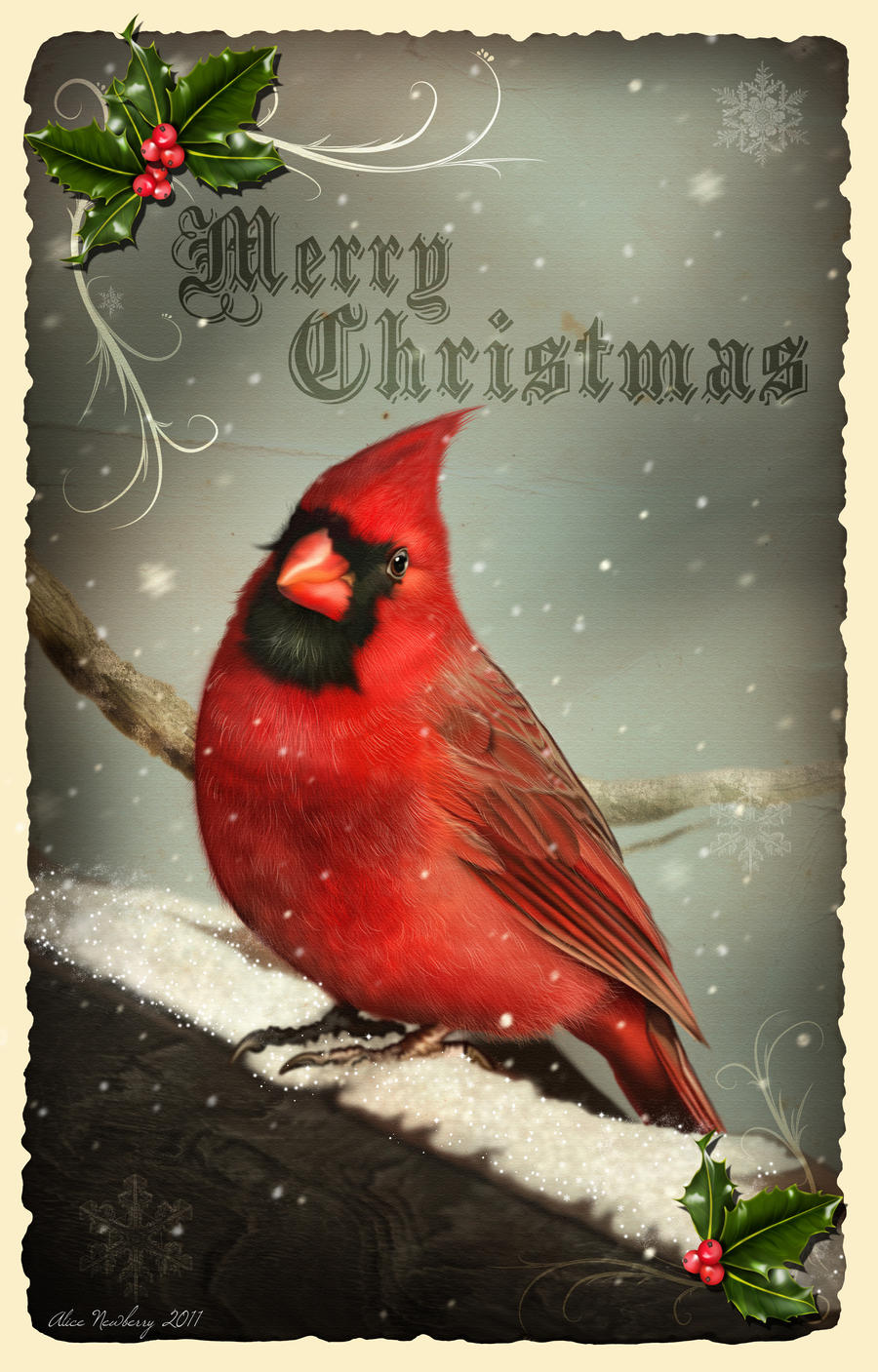 cardinal-christmas-card-design-by-doormouse1960-on-deviantart