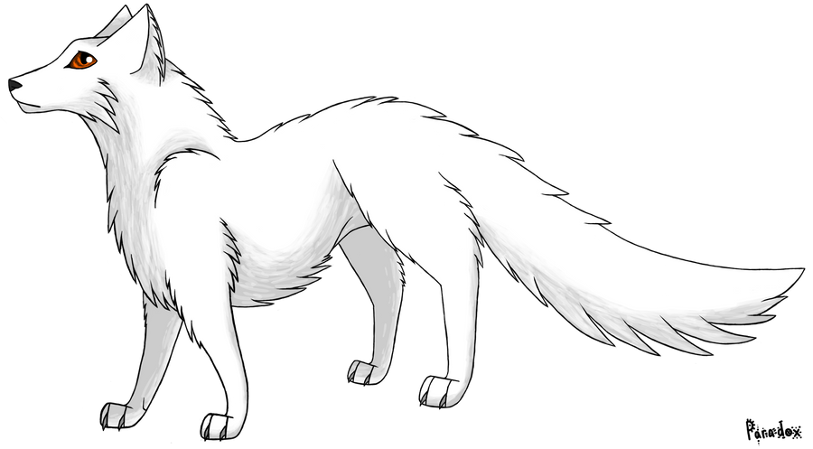 baby arctic fox coloring pages cute - photo #49