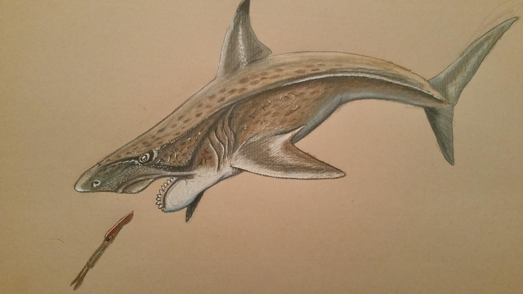 helicoprion_by_spinosaurus1-d8voixf.jpg