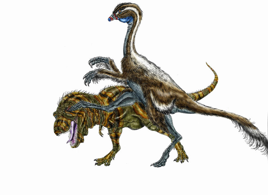 http://img00.deviantart.net/cda5/i/2011/288/b/e/dont_mess_with_ornithomimids_by_durbed-d4cvs09.jpg
