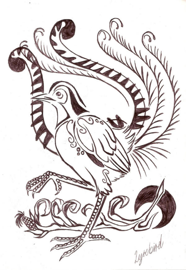 Lyrebird Tattoo Design by LyrebirdJacki on DeviantArt