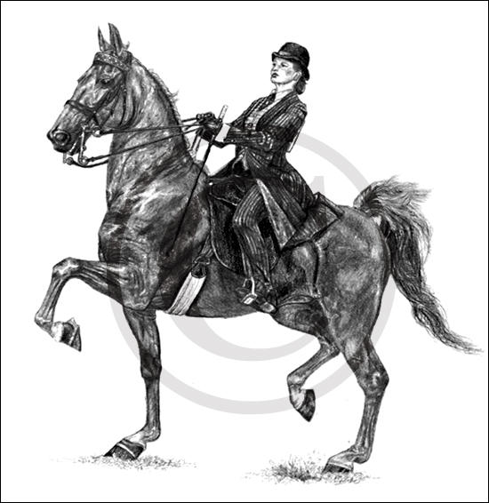 saddlebred horse coloring pages - photo #16