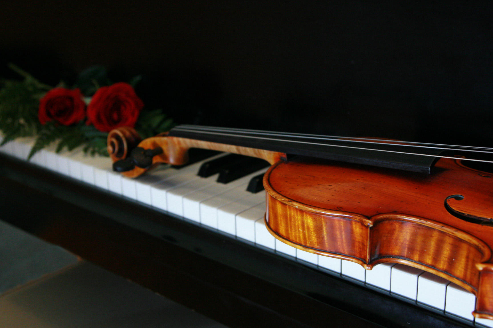 Violin and Roses by nateeboy68 on DeviantArt
