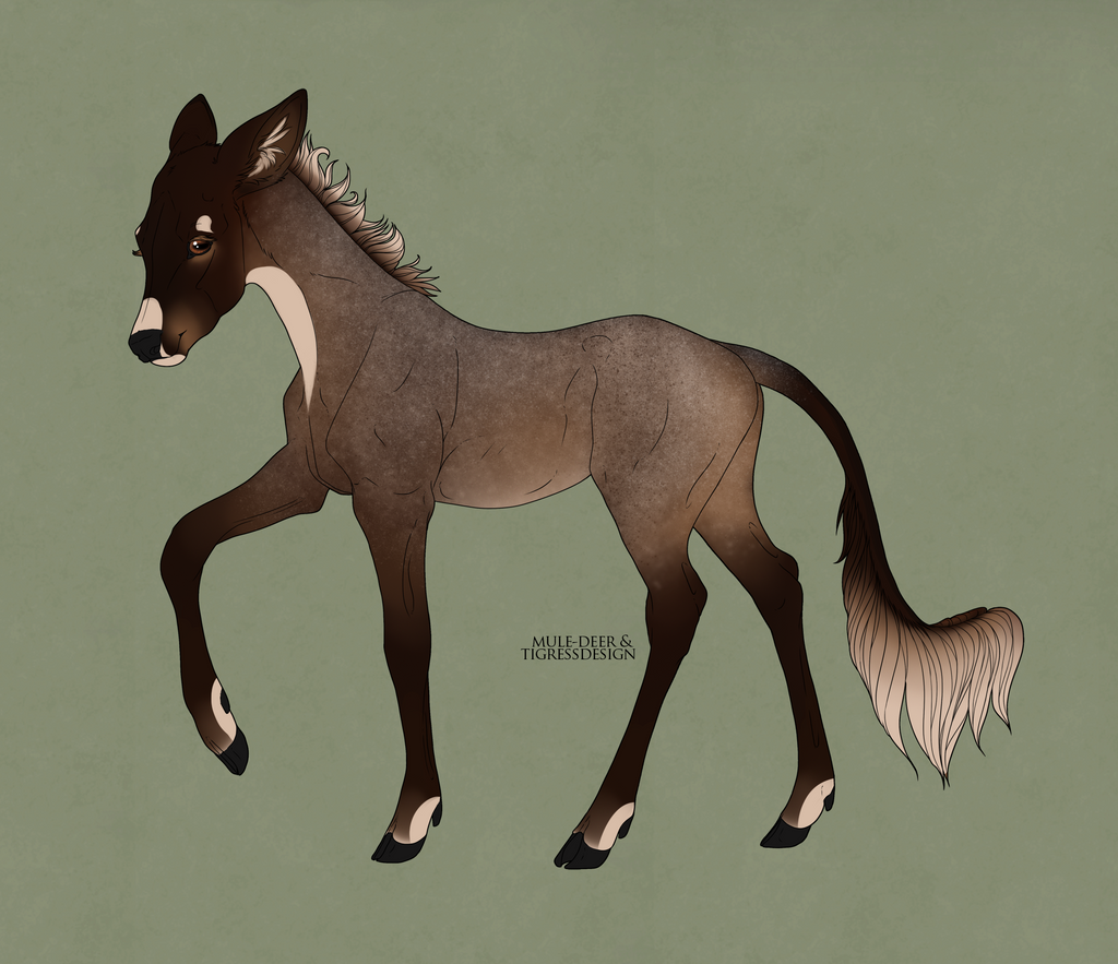 Fawn Design: Arcus by LaughingHeron on DeviantArt