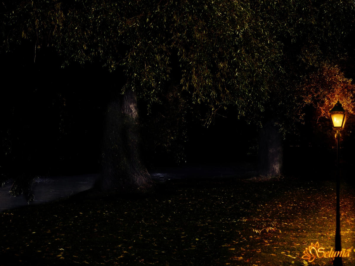 Premade Background A Night In The Park By Selunia On DeviantArt