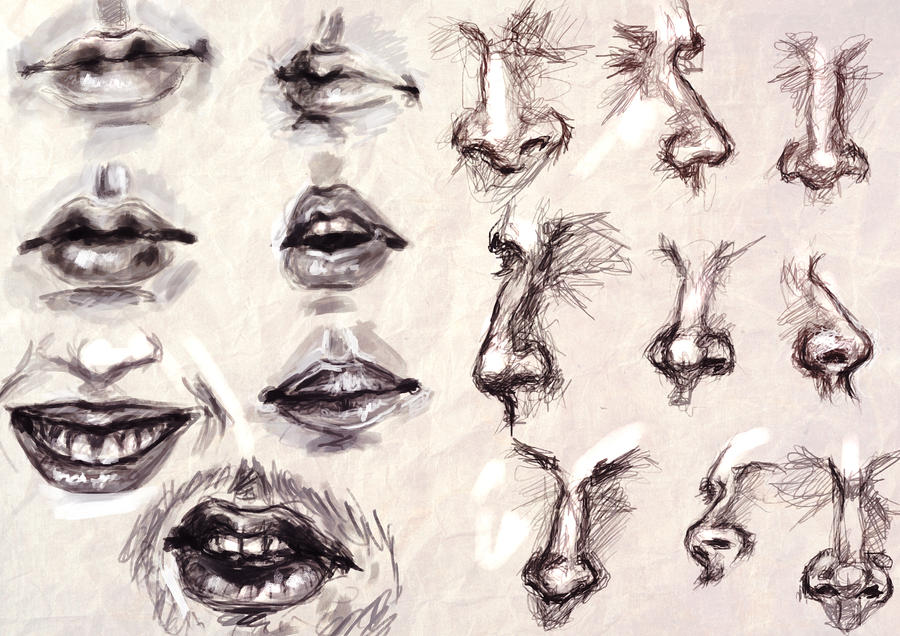 Study Mouth and Nose by RuxandraLache on DeviantArt
