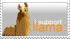 :llama: by Bennedetto