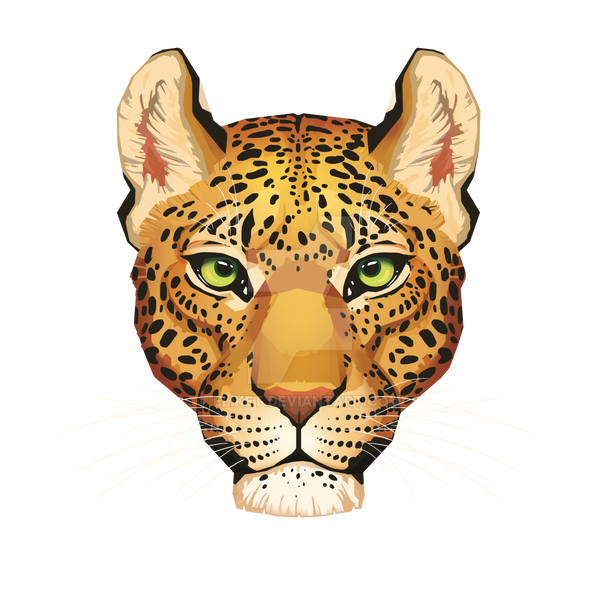 Leopard Face by Eliket on DeviantArt