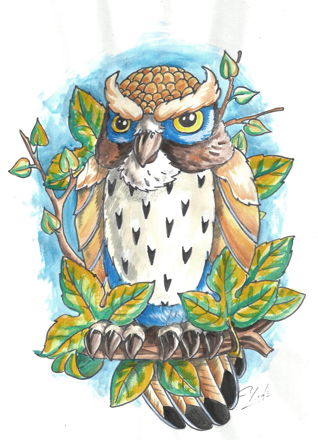 Gambar Wallpaper  Owl  Animasi  Gudang Wallpaper 