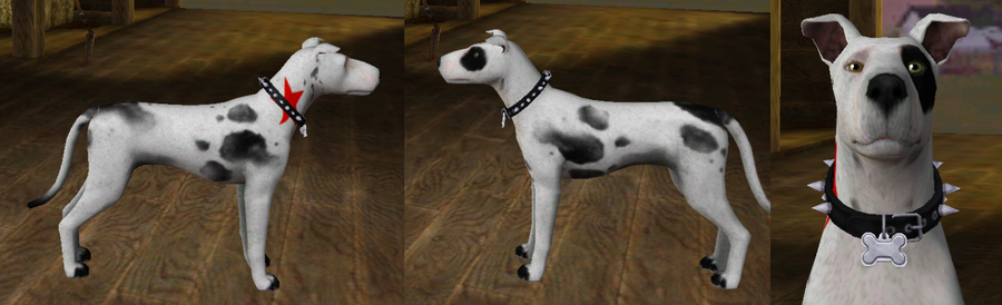 Sims 3 Bull Terrier by nyx-vampire on DeviantArt