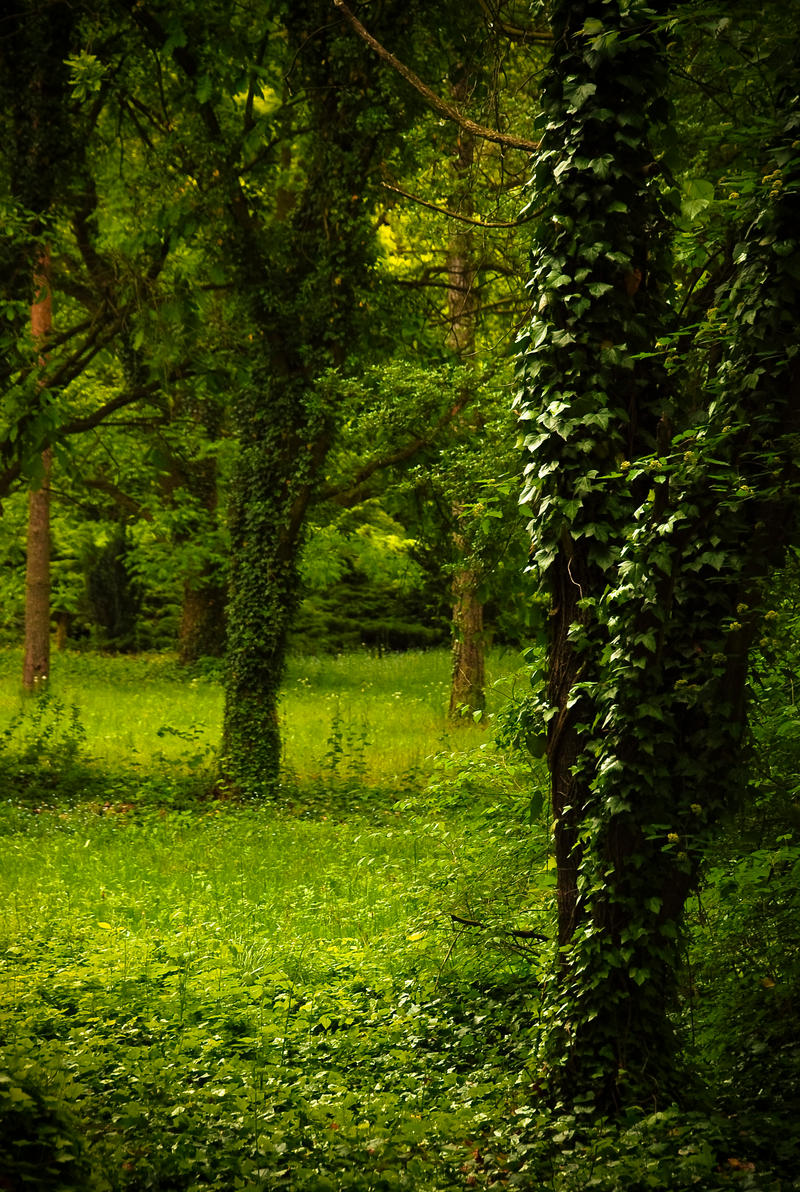 Nature Background 14 By Elanordh Stock On DeviantArt