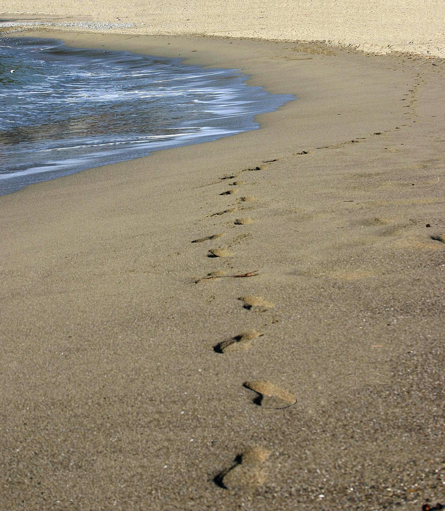 Footprints on the seashore. B. by IceBeer15 on DeviantArt