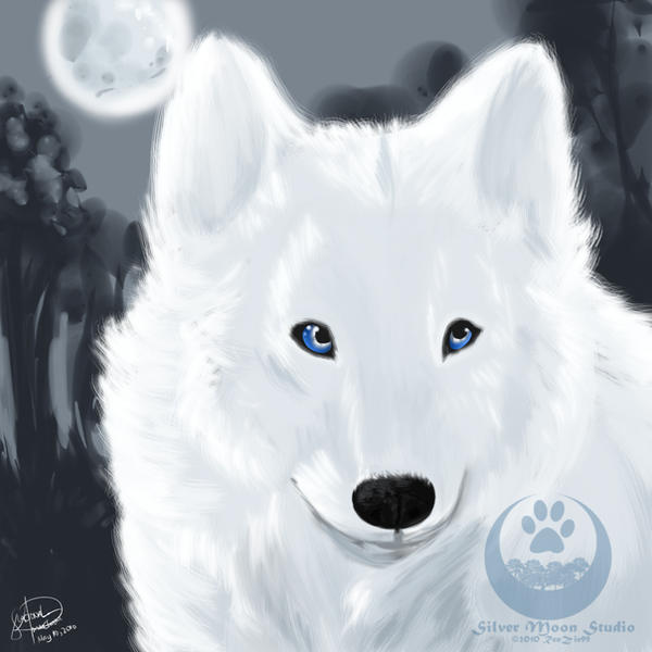 RenVrier the Silver Lycan by RenZie99 on DeviantArt