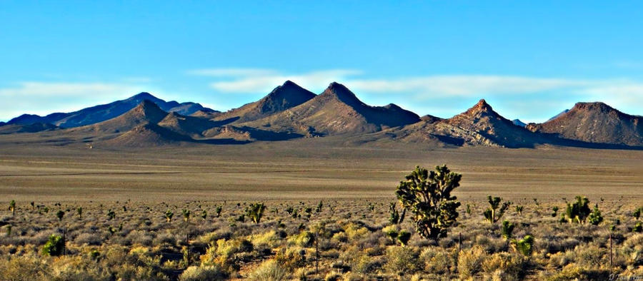 Nevada Desert by MacroMagnificent on DeviantArt