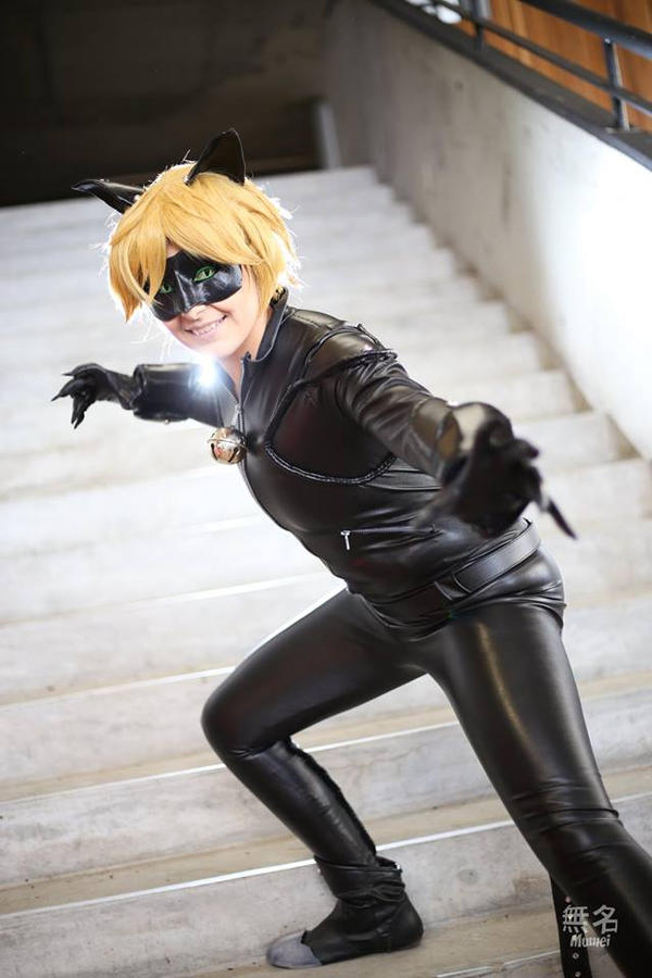Chat Noir - cosplay 01 by Millster-Ink on DeviantArt