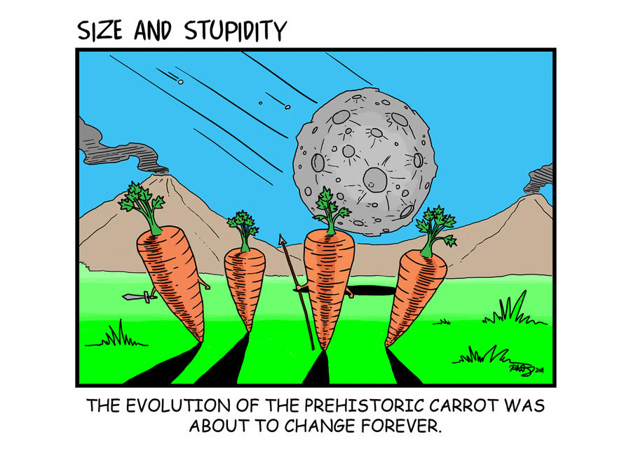 carrots_by_size_and_stupidity-d3g9cj5.jp