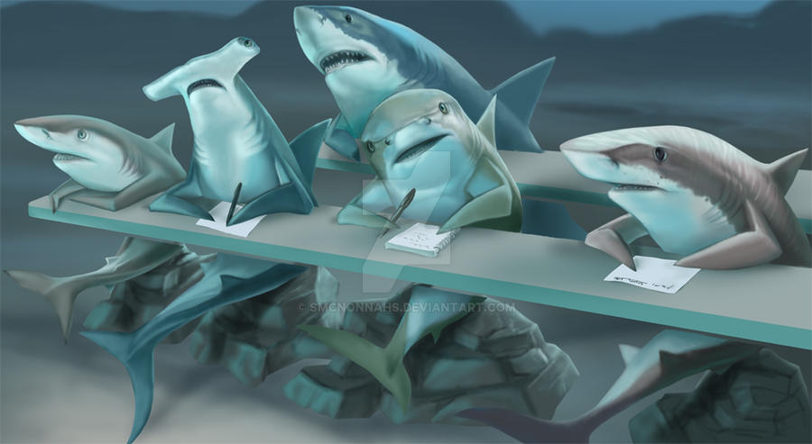 Image result for school of sharks