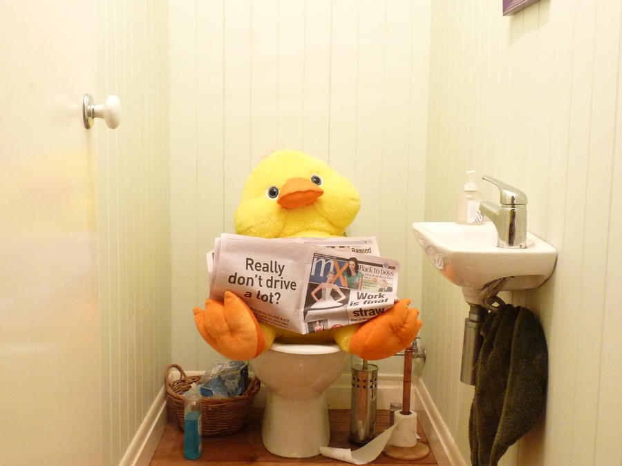 toilet_duck_by_sixdifferentways89.jpg