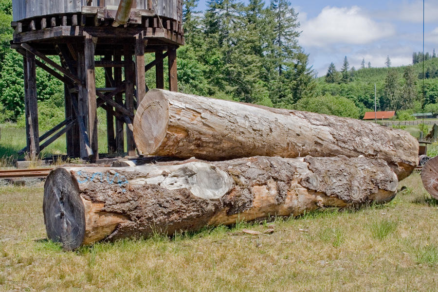 Big Wood by FoxStox on DeviantArt