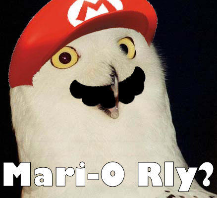 mario_rly__by_drthtater.jpg