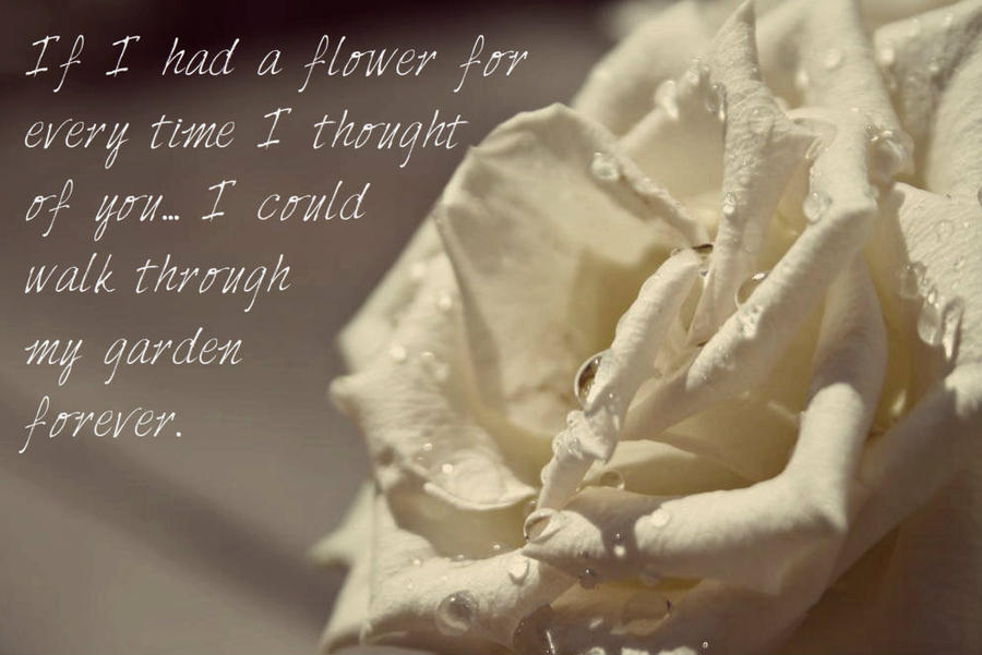 The White Rose Love Quote By T Jackification