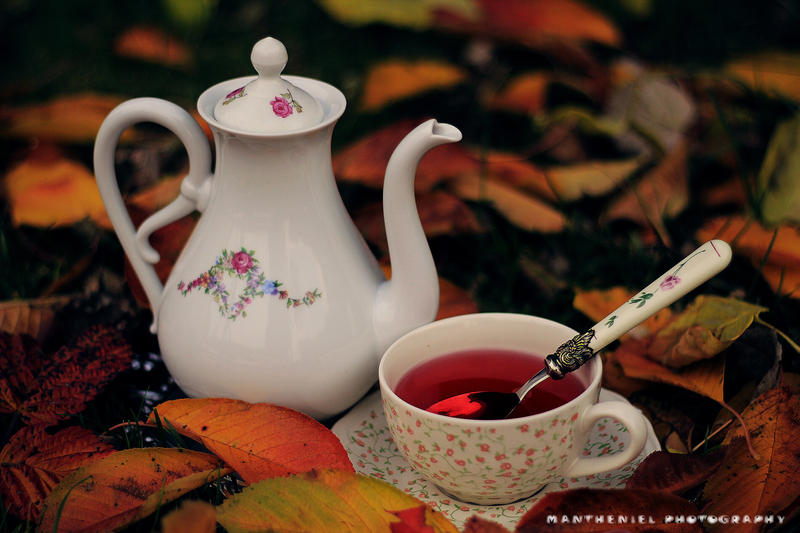 Tea in the autumn melancholy by LucreciaMortishia on DeviantArt