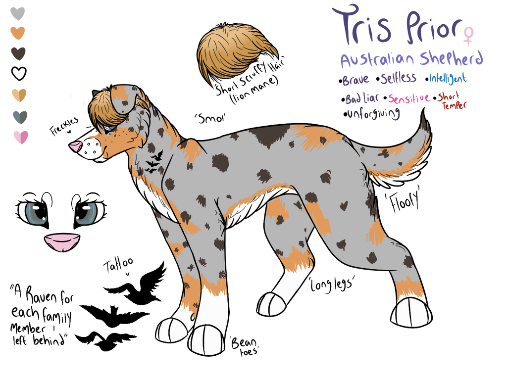 tris-prior-reference-sheet-by-winchesterfoxx-on-deviantart