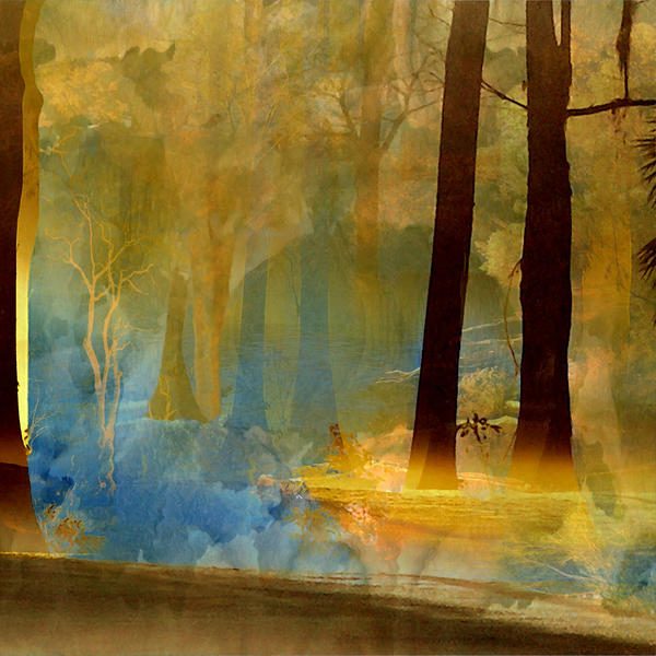 Surreal Background Forest by mysticmorning on DeviantArt