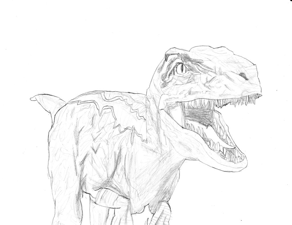 Velociraptor Blue Jurassic World Coloring Pages