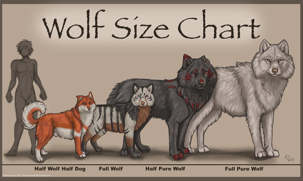 Wolf Size Chart by NatsumeWolf on DeviantArt