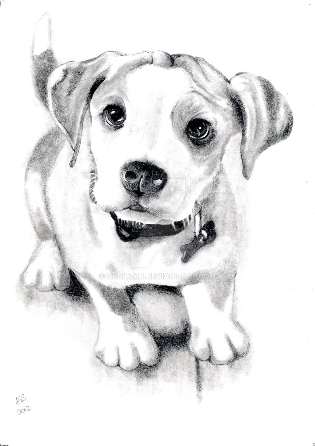 Dog Sketch by Spritz3r on DeviantArt