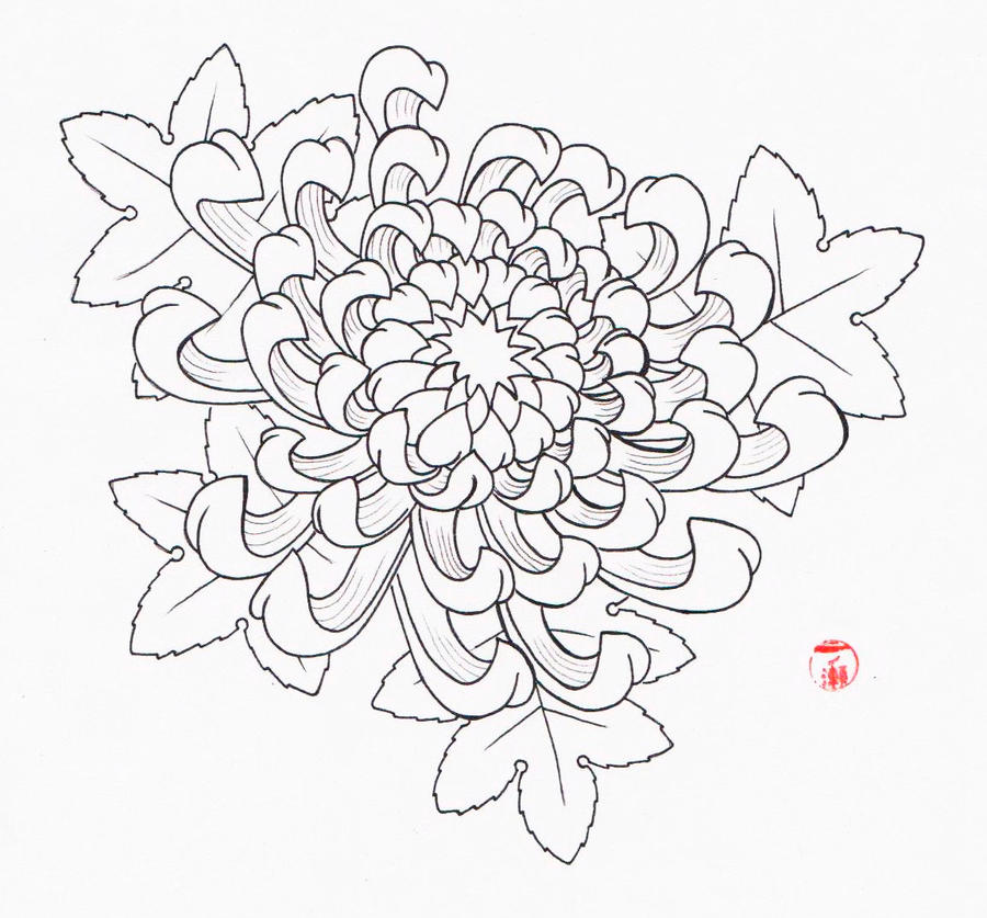 Chrysanthemum Flower by Laranj4 on DeviantArt