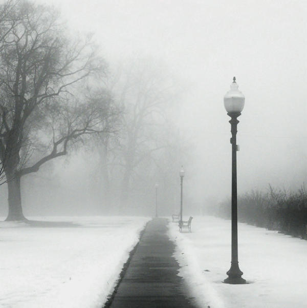 Foggy Day in the Park by jheintz21 on DeviantArt