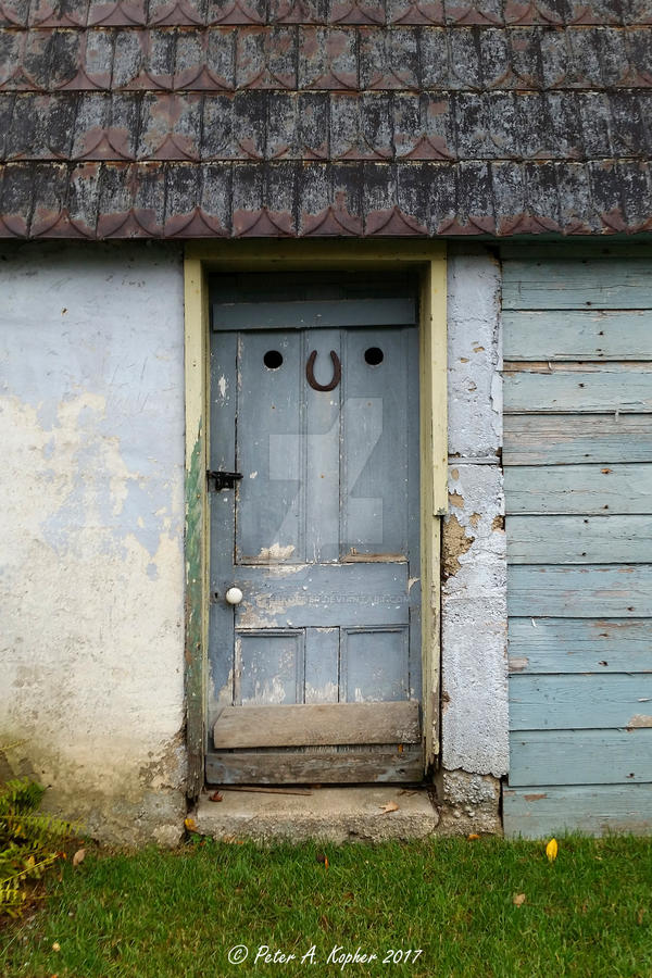 Horseshoe-Faced Door  by peterkopher