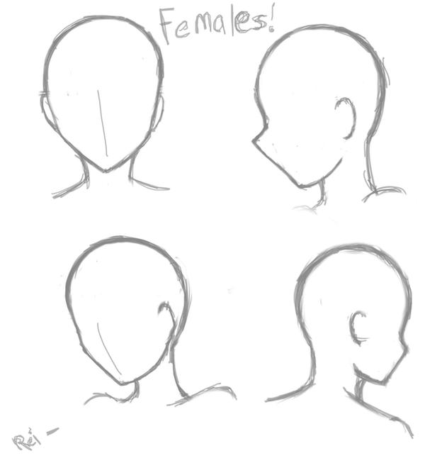 How To Draw Anime Female Head : The readers of easydrawingart.com are