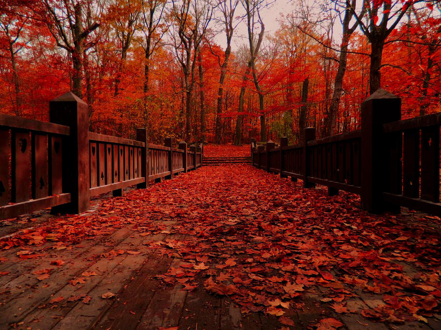 Autumn Leaves by TimeKiller357 on DeviantArt