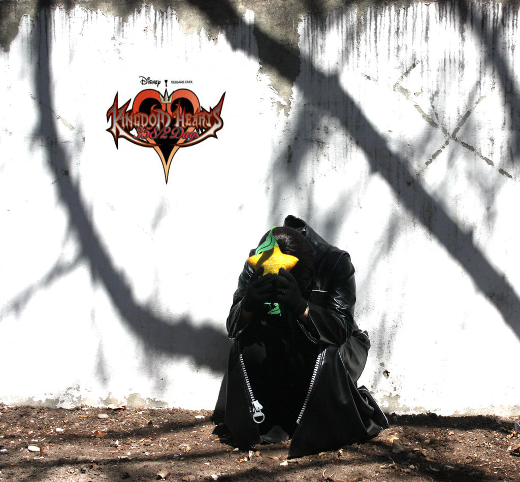 Kingdom Hearts 358 2 Days Iso Download