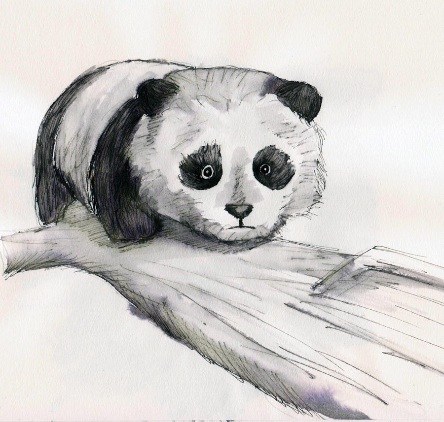 Panda sketch by destinyloveart on DeviantArt