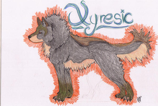 Xyresic young
