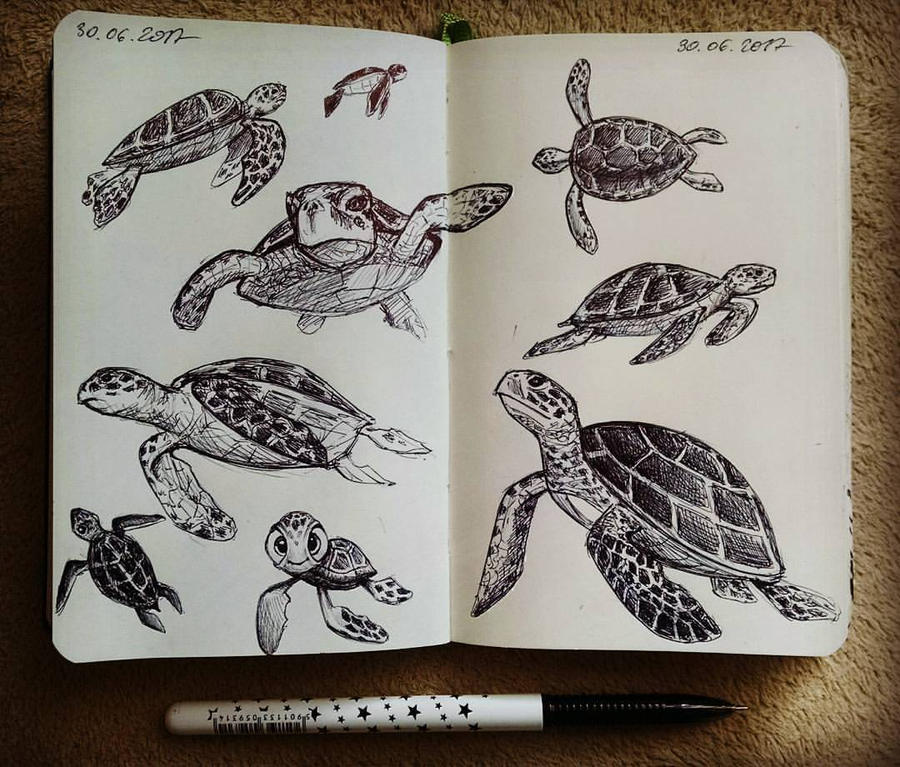 Turtles - quick sketches by UnicatStudio on DeviantArt