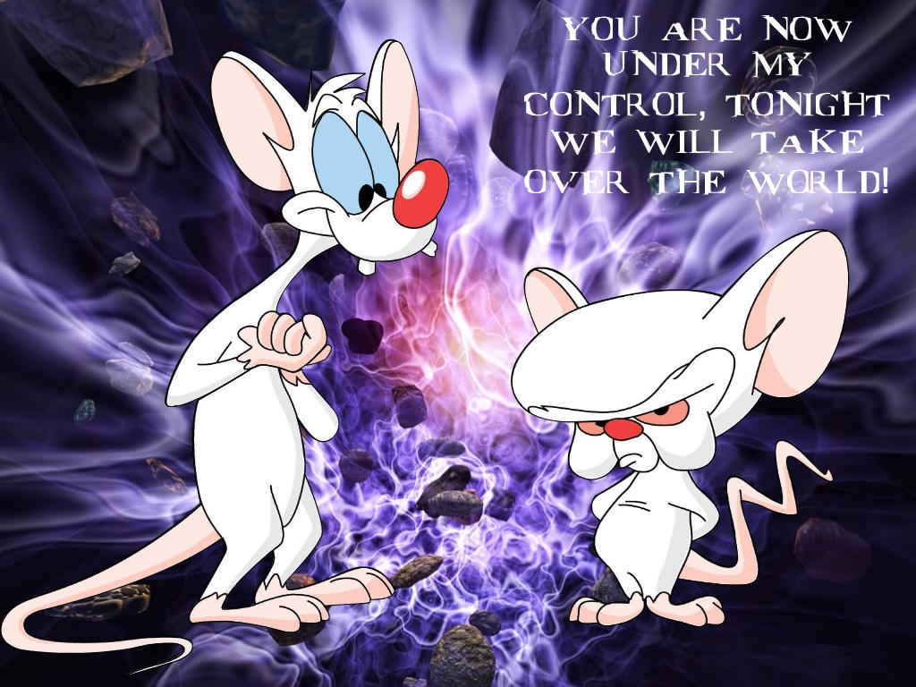 Pinky and the Brain by Simon-HackMaster on DeviantArt