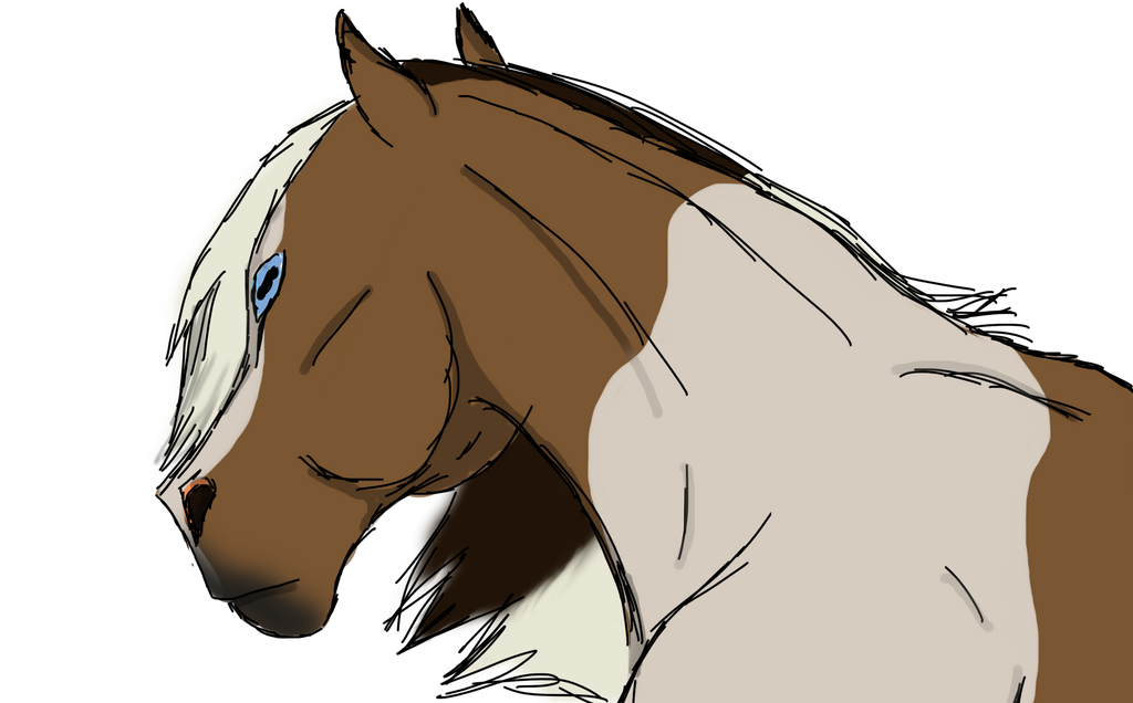 Mustang Stallion Colored by Jedi-Cowgirl on DeviantArt