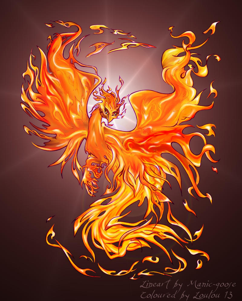 Fire Dragon by Loulou13 on DeviantArt