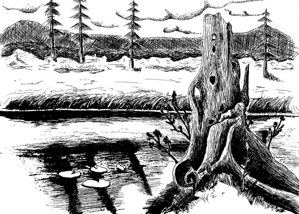 Black and White pEN and iNK Landscape by Fumtien on DeviantArt