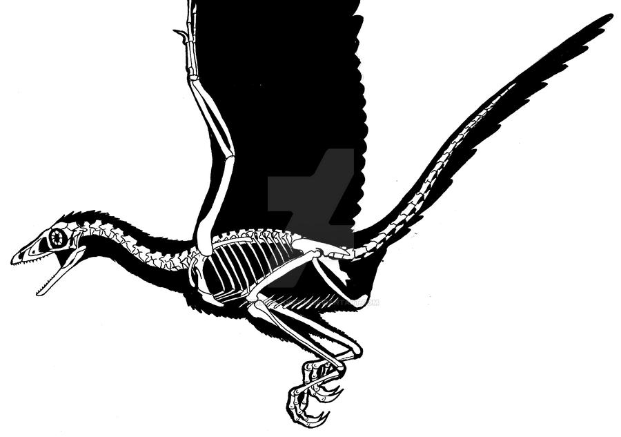 Archaeopteryx (2001) by Franz-Josef73 on DeviantArt