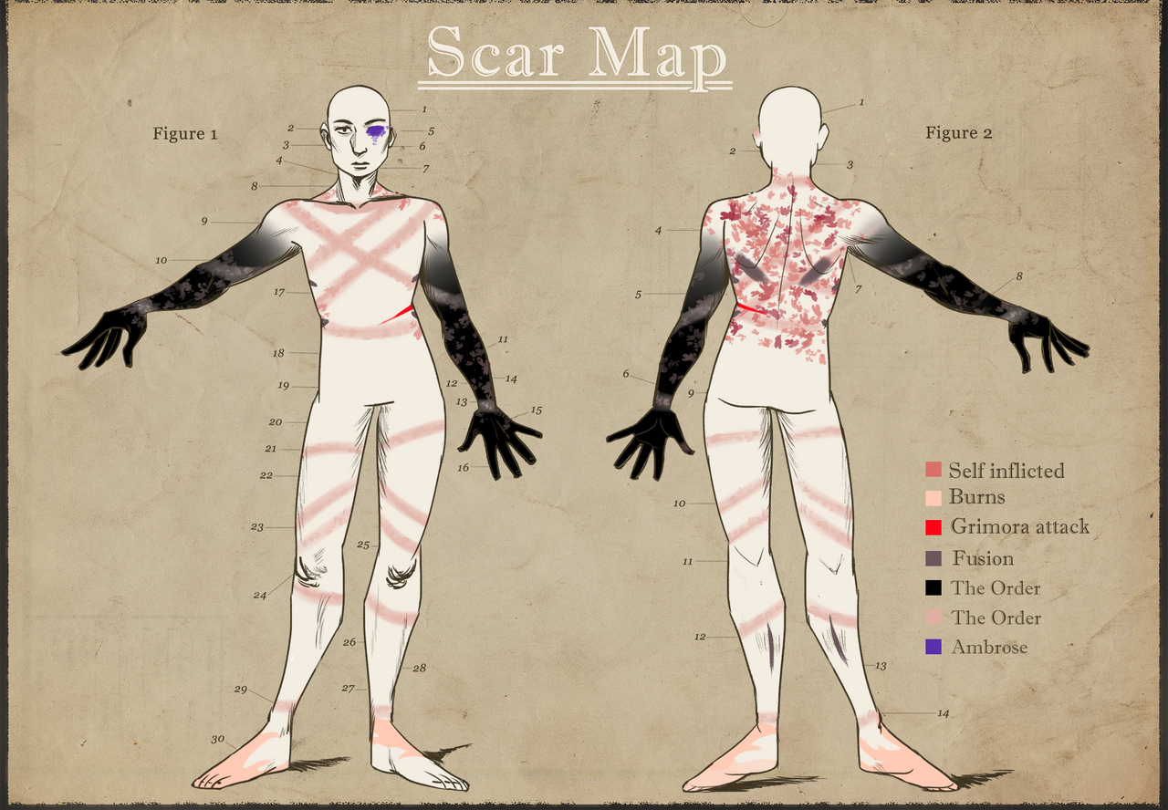 Scar map - Tomoko Fujiwara by tortaleenie on DeviantArt