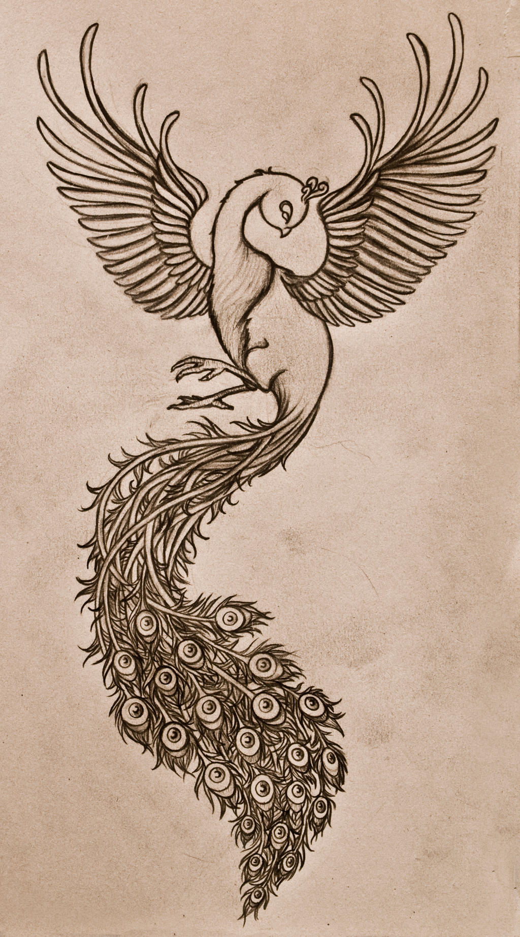 Peacock Tattoo by FifthEpsilon on DeviantArt