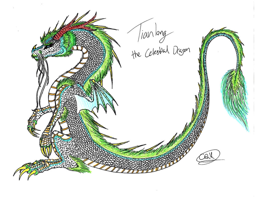 Tianlong Dragon