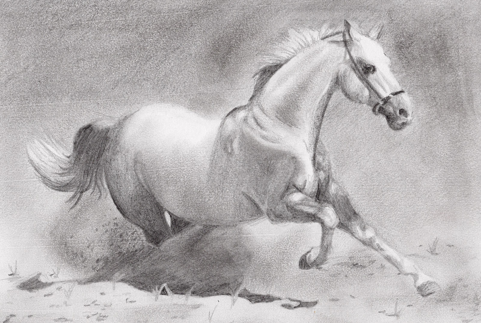 running horse sketch by russiawantsvodka on DeviantArt